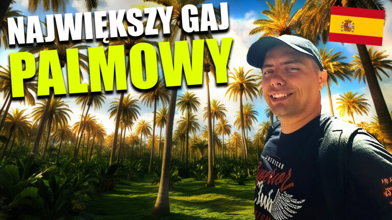 najwiekszy gaj palmowy na motocyklu